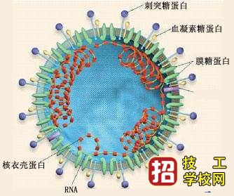 新型冠状病毒疫情期间如何到石家庄铁路技校报名 学校资讯