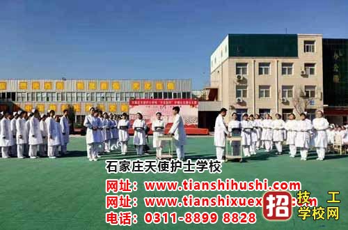 为什么学护士都选择石家庄天使护士学校