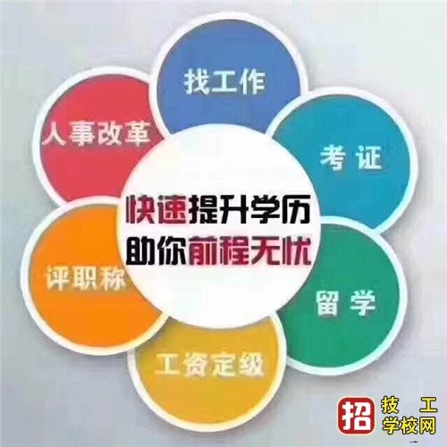 女生报成考选什么专业好？ 招生信息