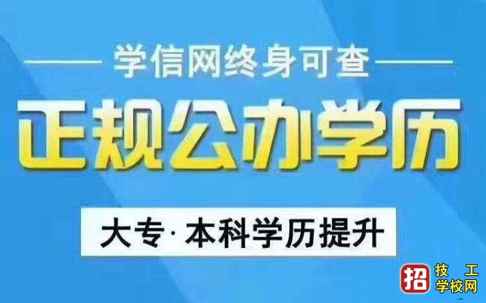 河北成人高考专业有哪些