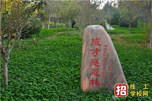 石家庄冀联医学院2023年招生条件