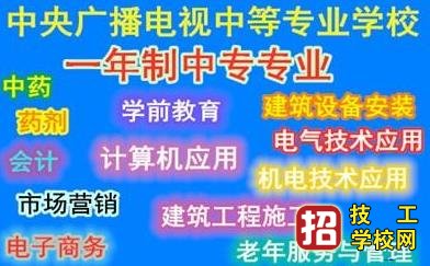 中央电大中专是什么意思？